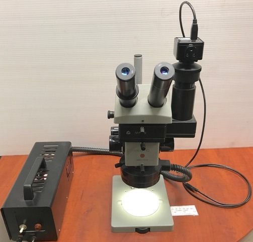 MBS-10 Stereo Microscope